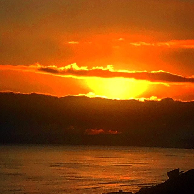 Lilies & Leopards B&B主图