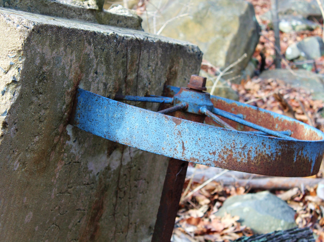 Ringing Rocks Park-Potts Grove必去景点