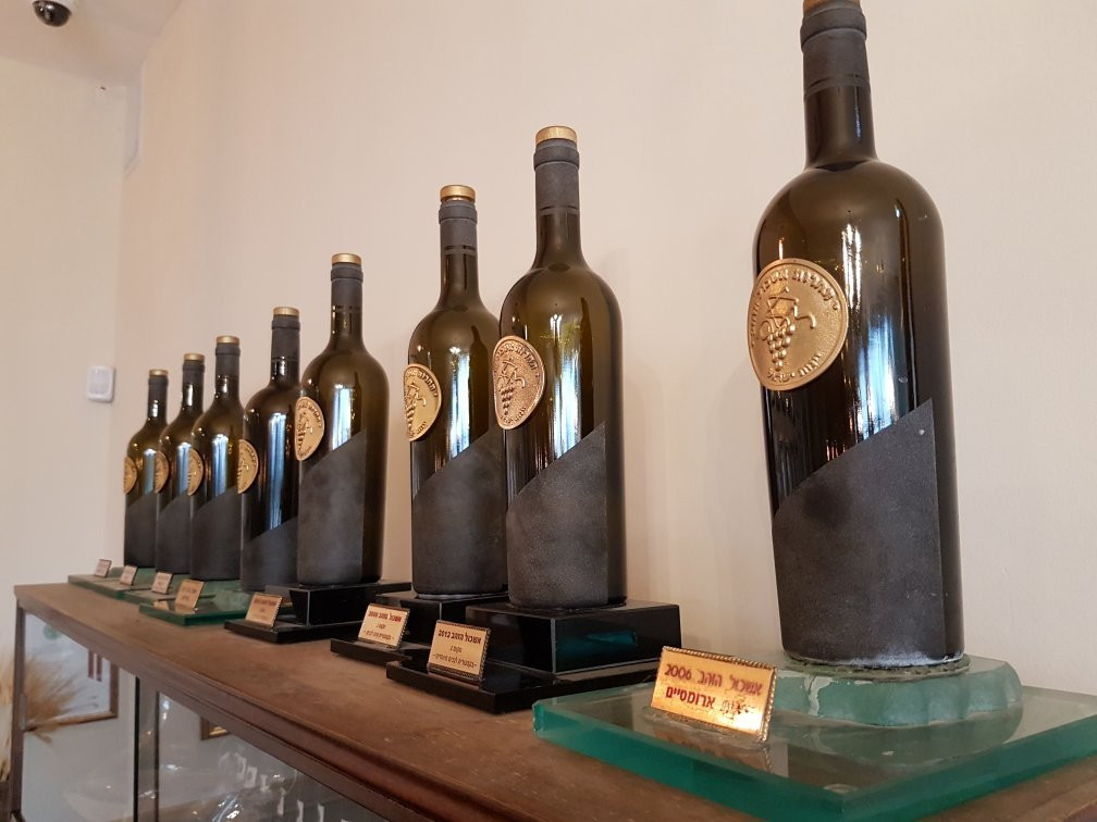 Vitkin Winery-Kfar Vitkin必去景点