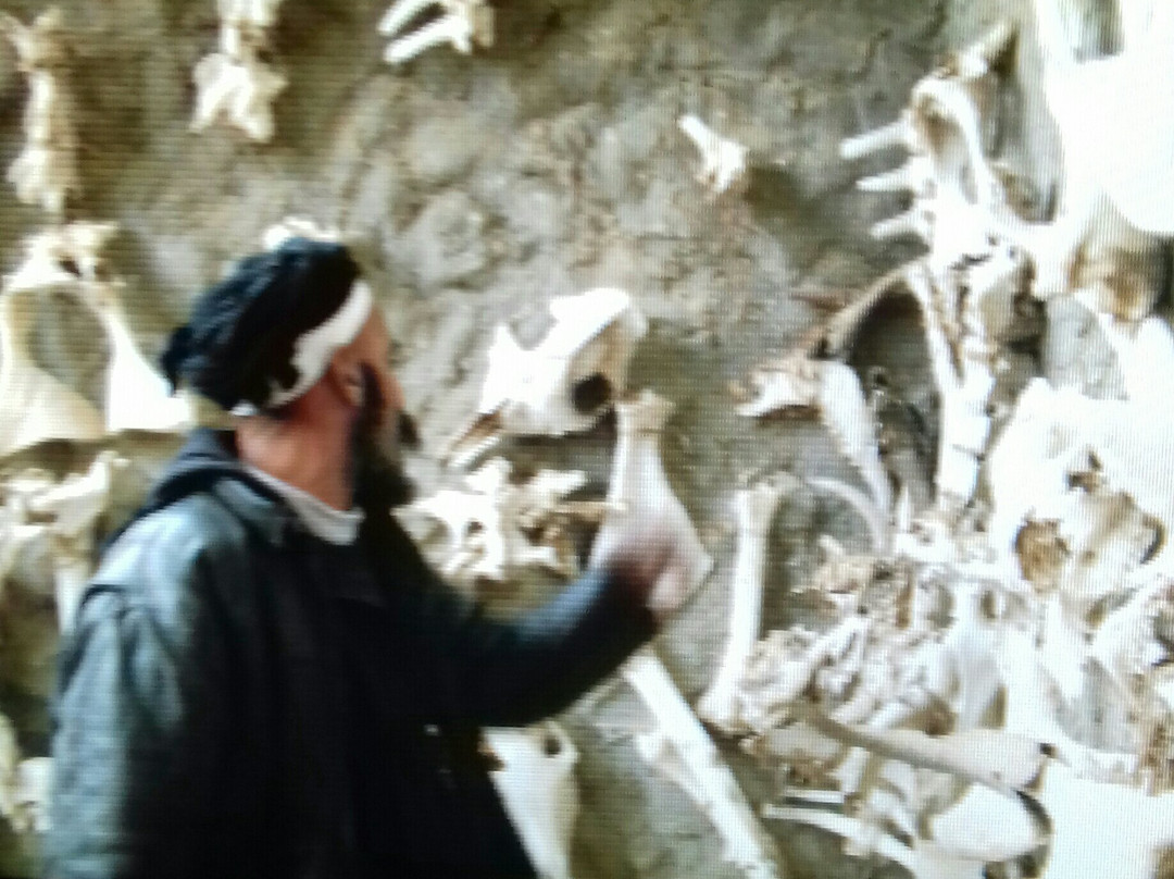 Catacombs-突尼斯必去景点