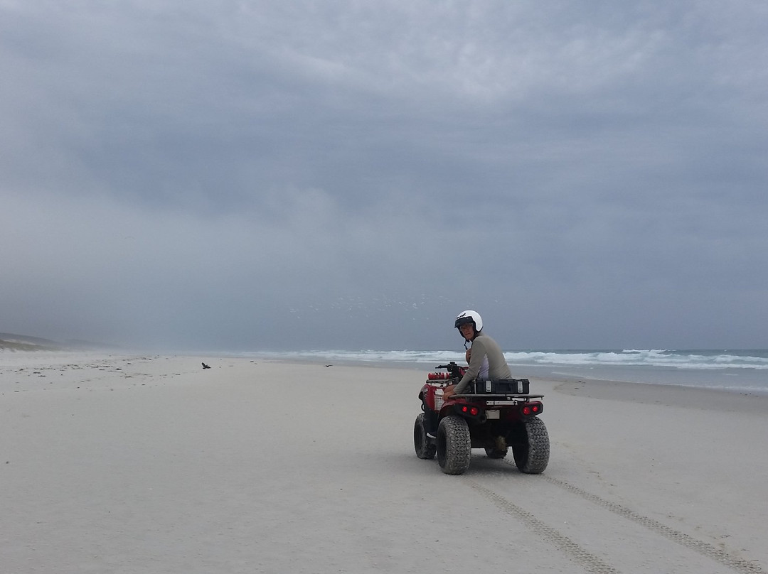 Seatoys Private Quad Bike Tours景点图片