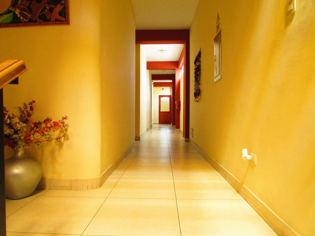 Palau Amazonas Hotel主图