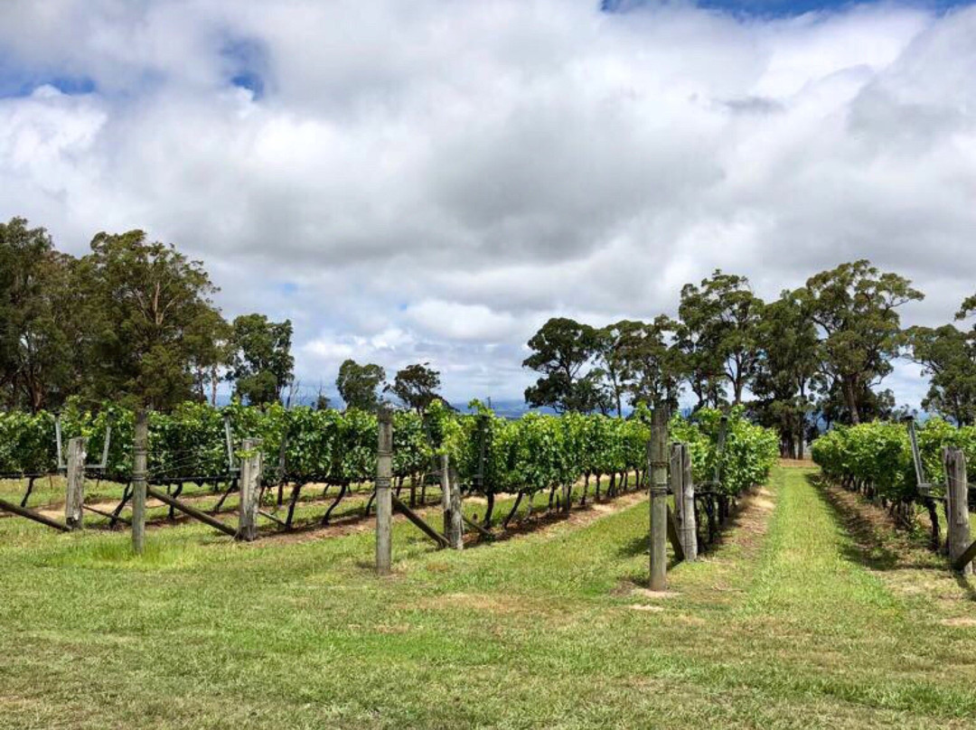 Narkoojee Winery-Glengarry必去景点