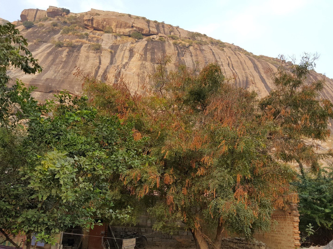 Krishnagiri Fort景点图片