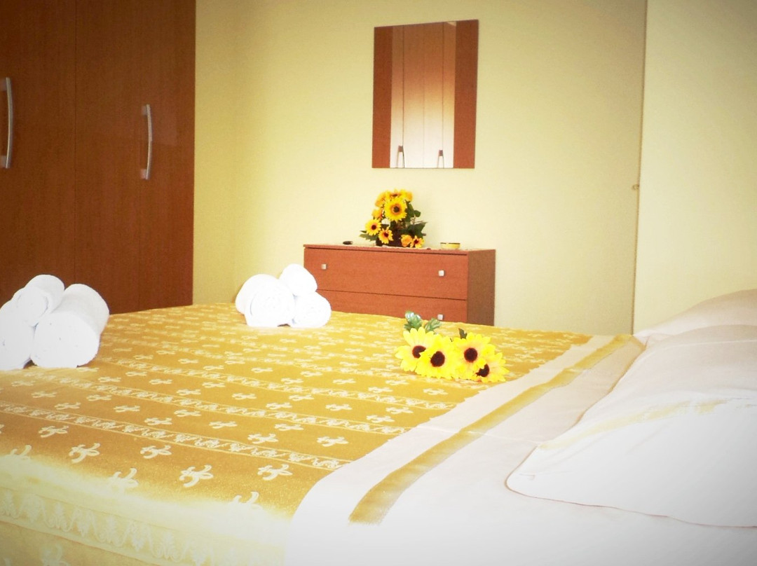 B&B Il Girasole主图