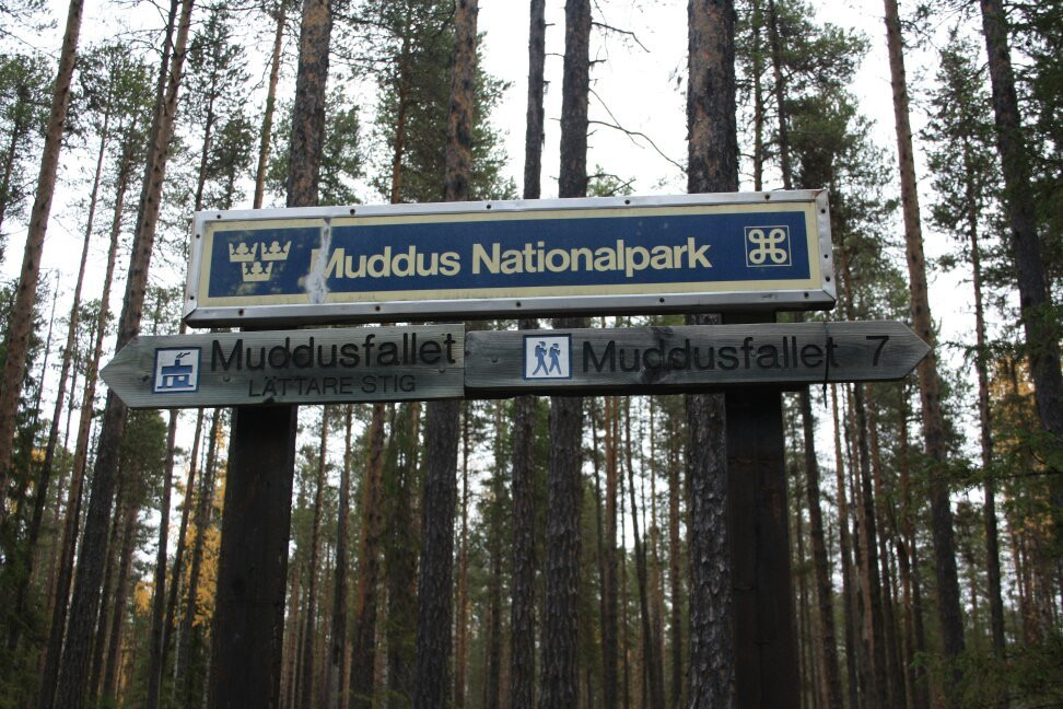 Muddus National Park景点图片