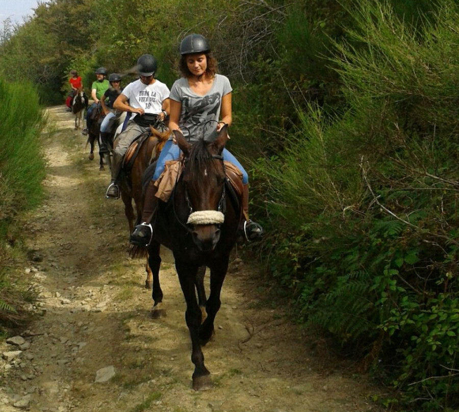 Maneggio Madre Terra-佛罗伦萨必去景点