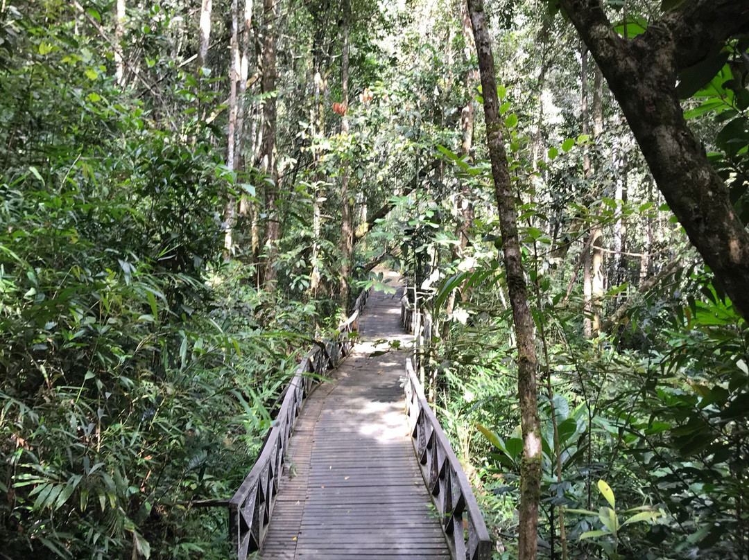 天国之塔-拉哈达图必去景点