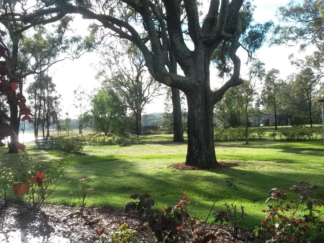 Emma's Cottage Vineyard Cellar Door Gallery-Lovedale必去景点