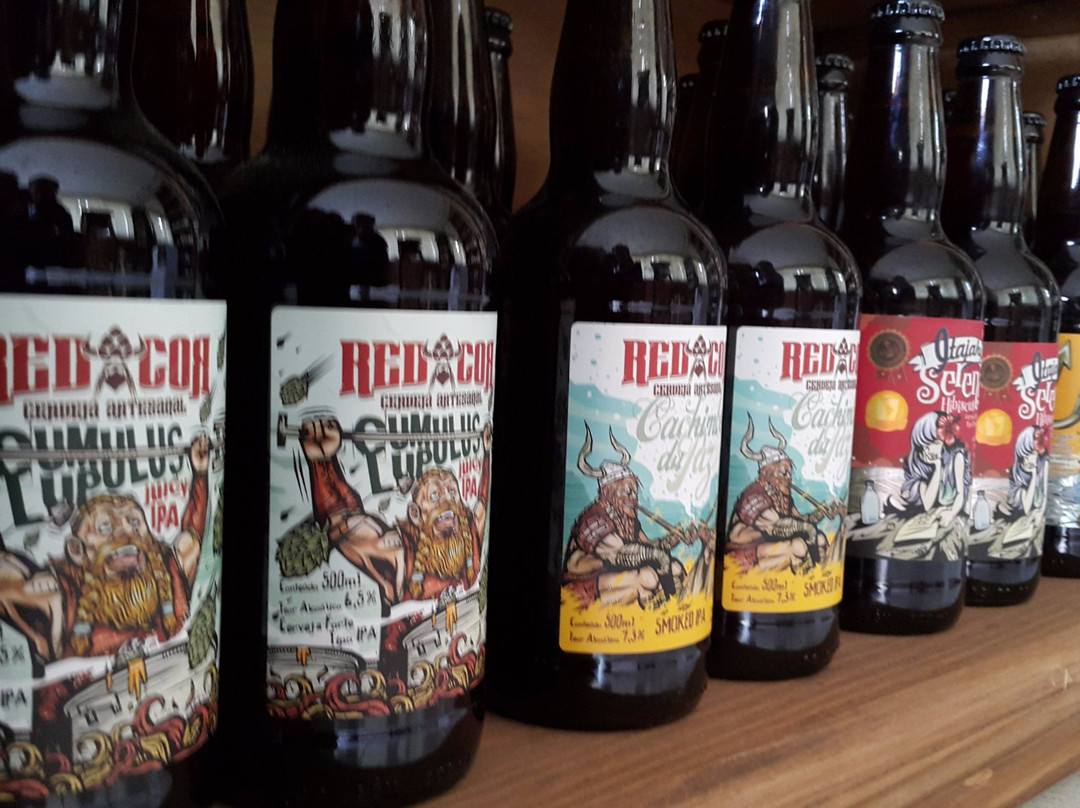 Wilden Bier-Realeza必去景点