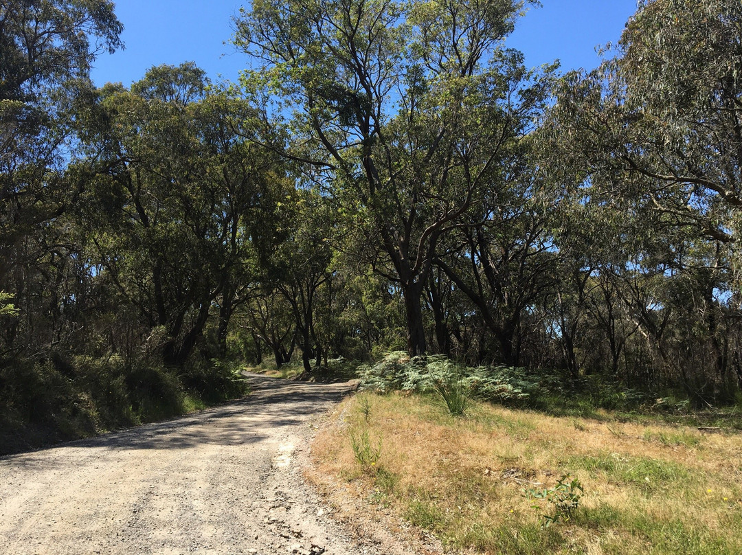 Foster Flora Reserve-福斯特必去景点