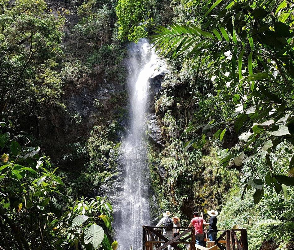 Cascadas De Cocora-萨伦托必去景点