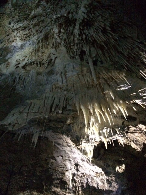 Adventure Waikato-怀卡托地区必去景点