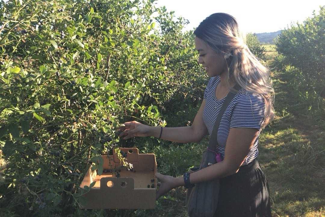 Sauvie Island Farms-波特兰必去景点