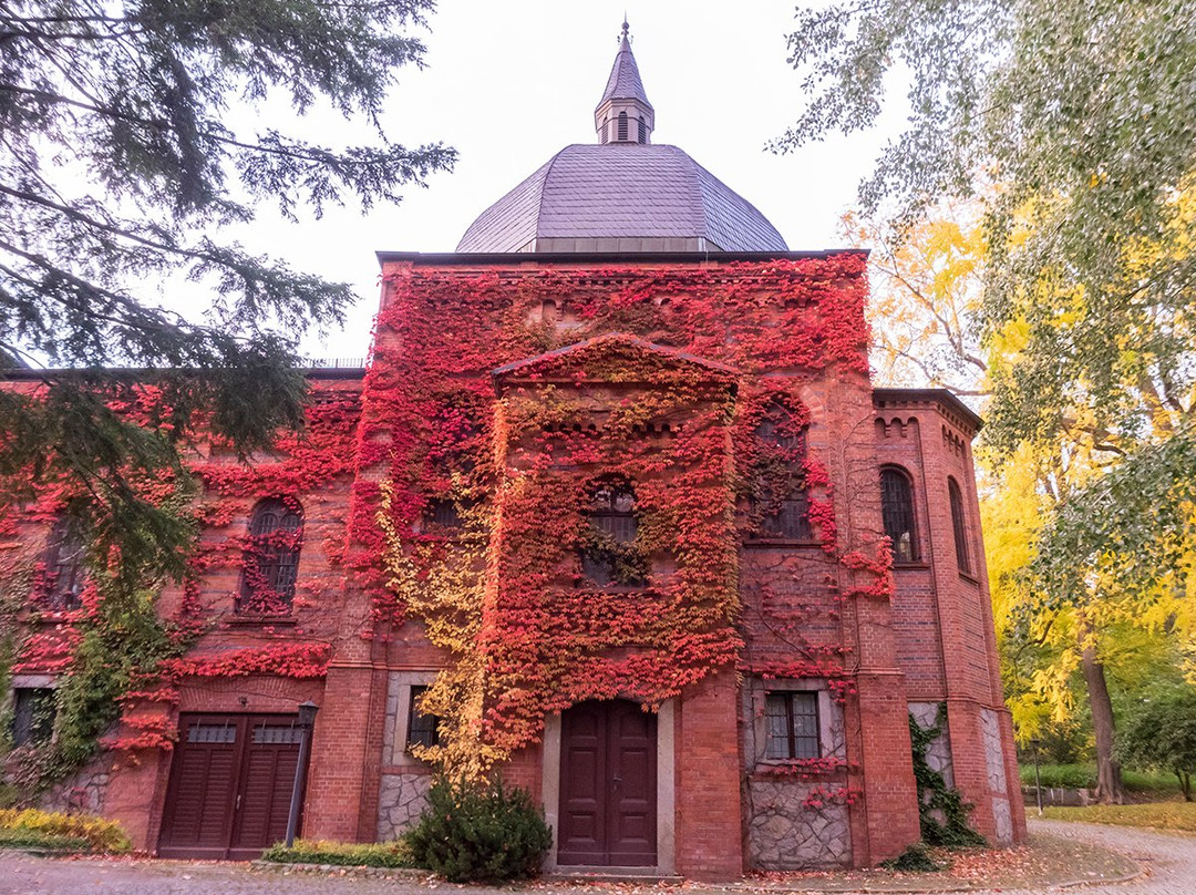 Historischer Nikolaifriedhof景点图片