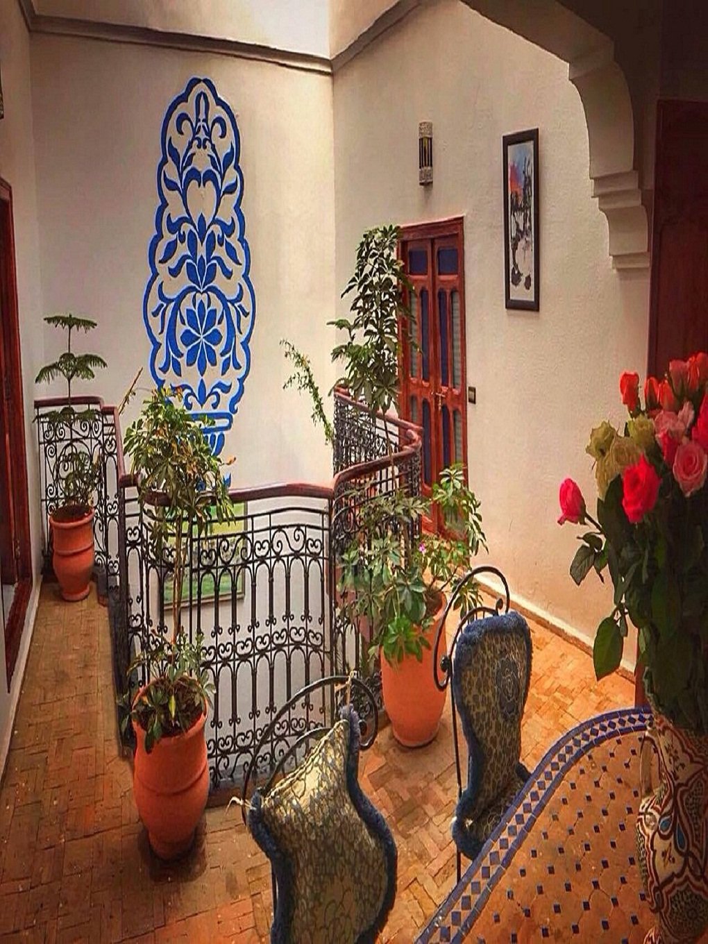 Riad Wink-官方