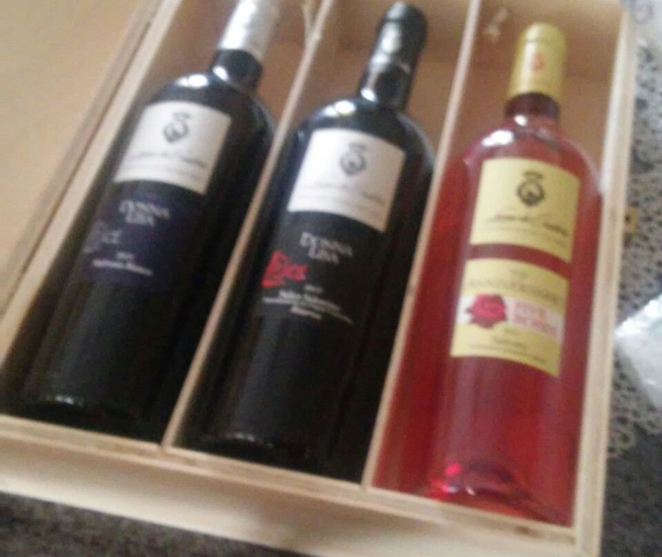 Leone de Castris Winery景点图片