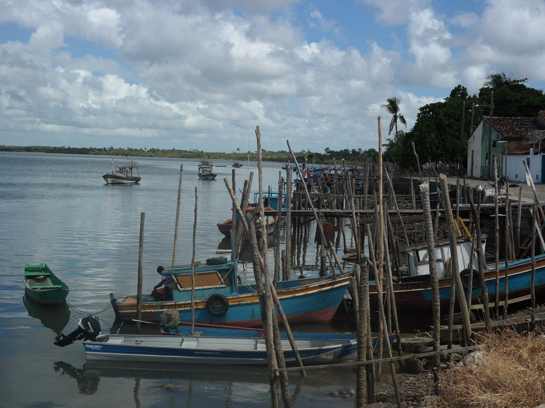 Rio Carevelas-Caravelas必去景点