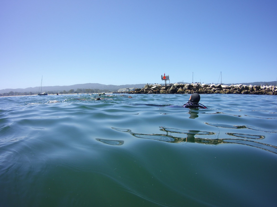 Harbor Dive Center景点图片