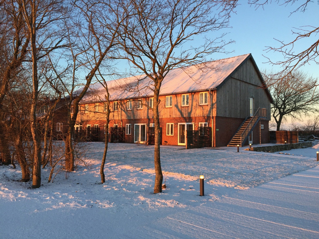 Hoftel Foehr