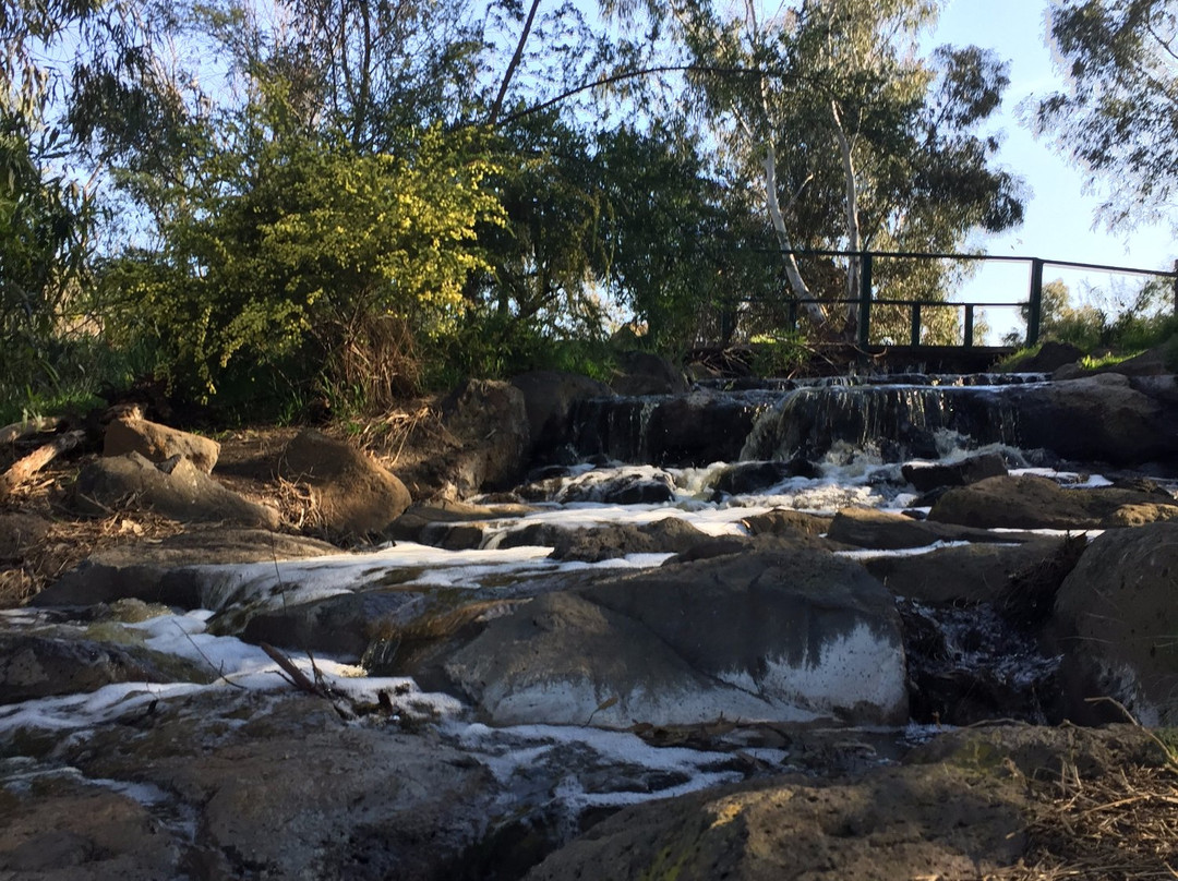 Darebin Parklands景点图片