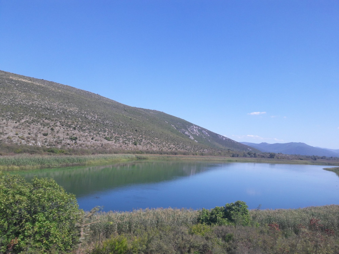 Nature Park Hutovo Blato景点图片