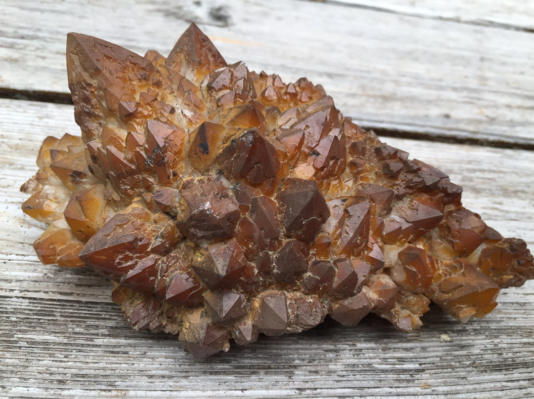 TANDMGems Fine Minerals, Crystals & Fossils景点图片
