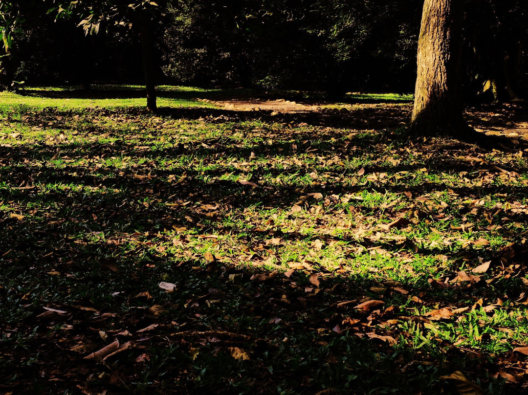 Ecoparque de las Garzas-卡利必去景点
