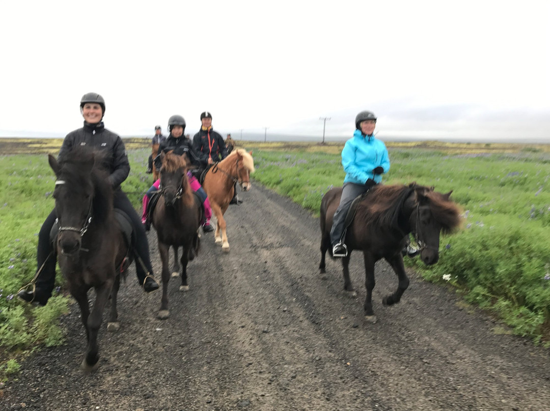 Perluhestar-Thorlakshofn必去景点