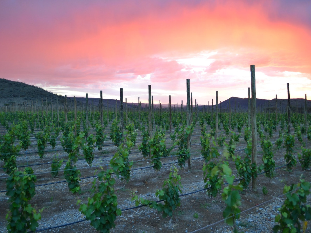 Neuras - N/a'an ku se Wine and Wildlife Estate-Maltahohe必去景点