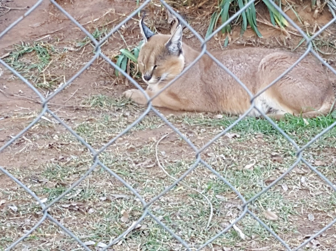 Loebies Gasteplaas-贝拉贝拉必去景点
