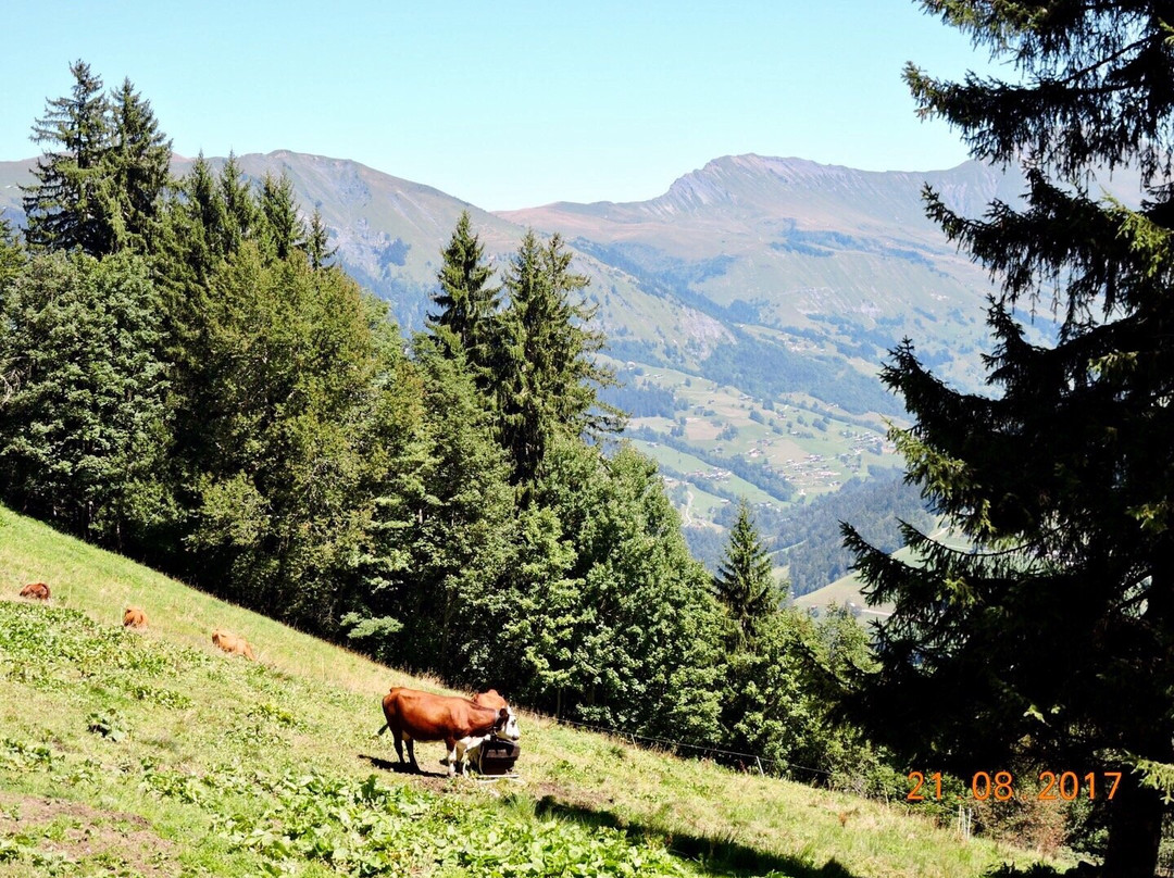Lac des Fées-Areches必去景点