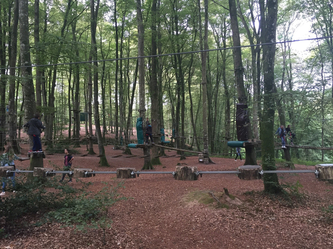 Parc des Grands Chenes景点图片