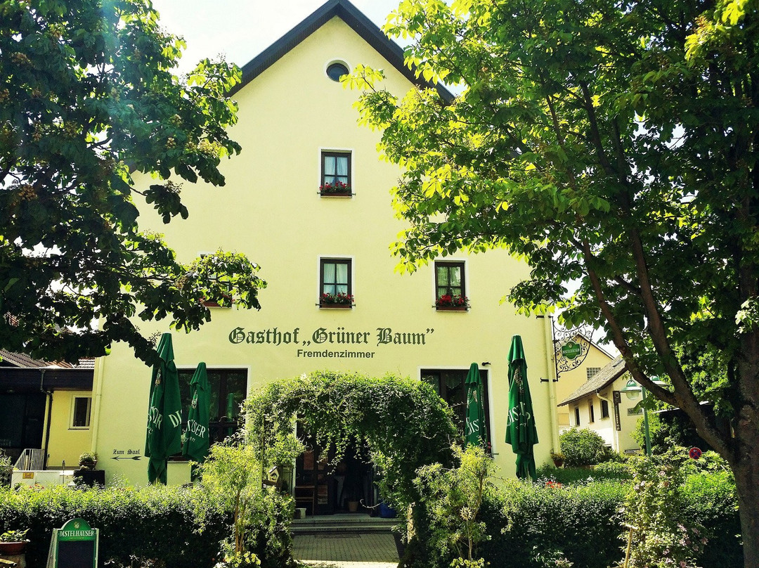 Werbach旅游攻略图片