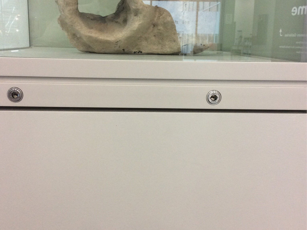 Wakefield Museum-韦克菲尔德必去景点