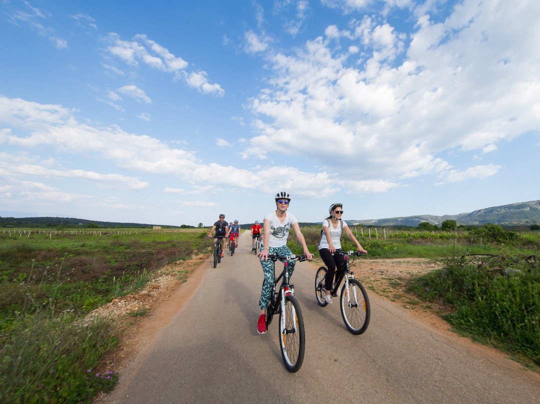 Natural Hvar Tours景点图片