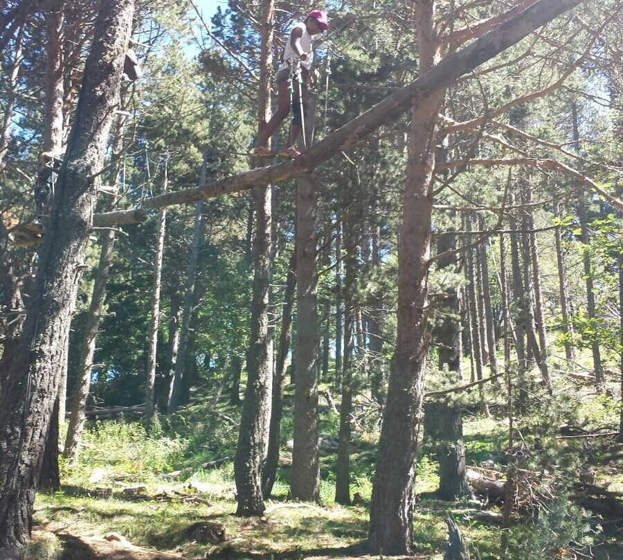 Parc Aventure Font Romeu景点图片