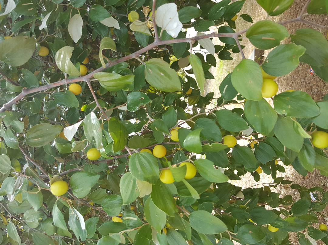 Catedral de Nossa Senhora da Fatima-Nampula必去景点
