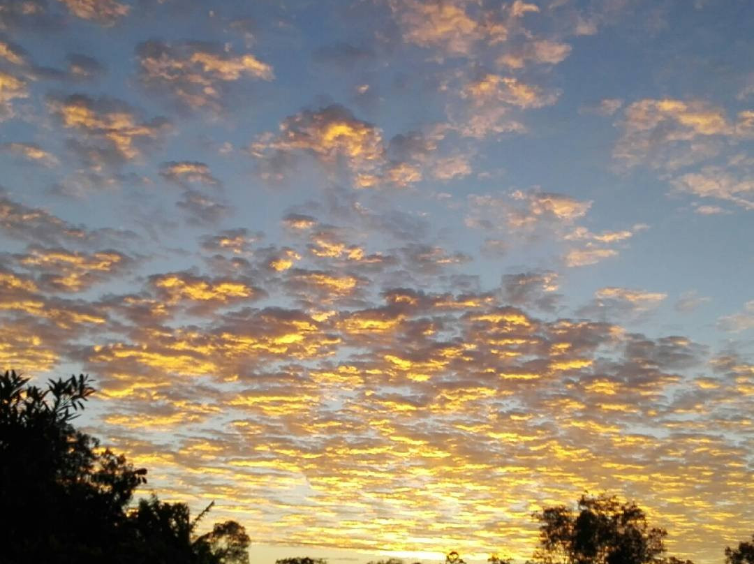 Childers Eco-lodge-Apple Tree Creek必去景点