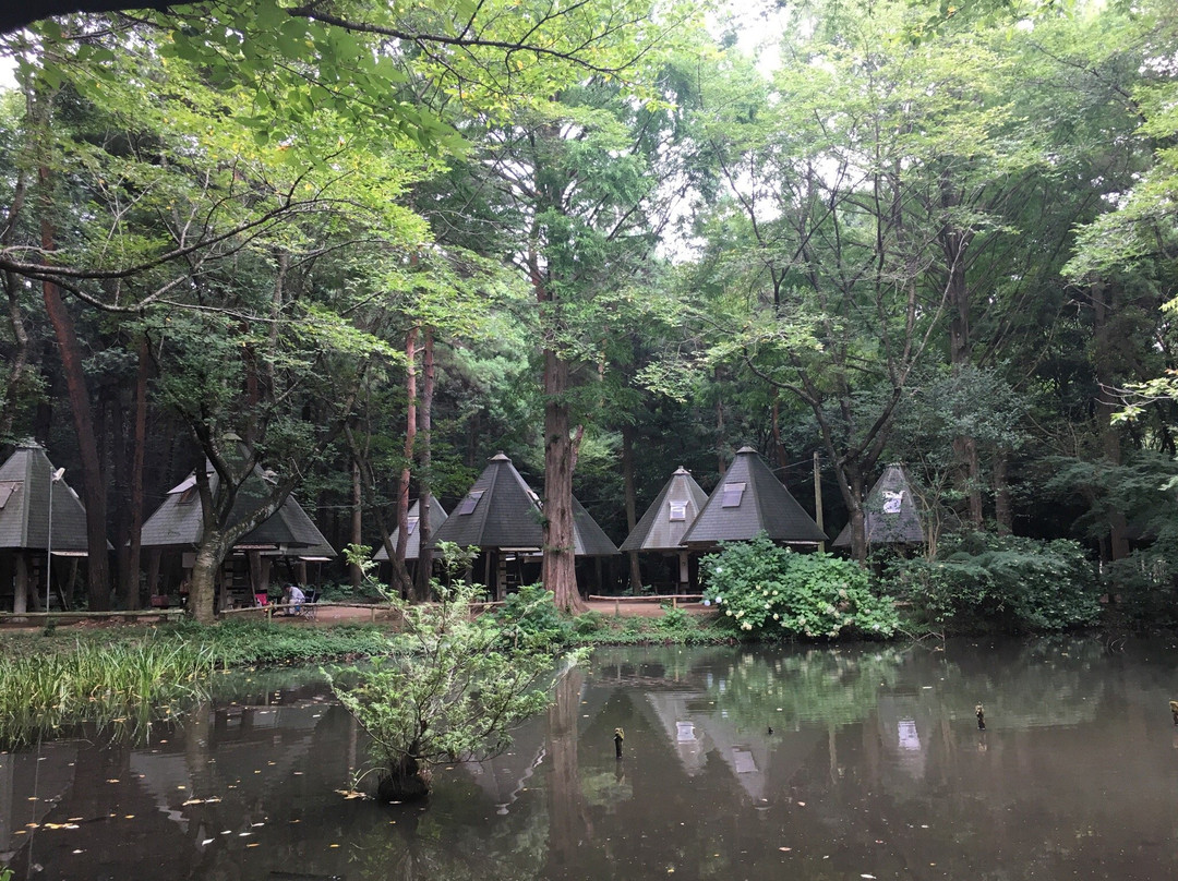 Toyosato Yukari no Mori-筑波市必去景点
