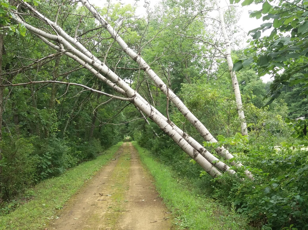 Sugar River State Trail景点图片