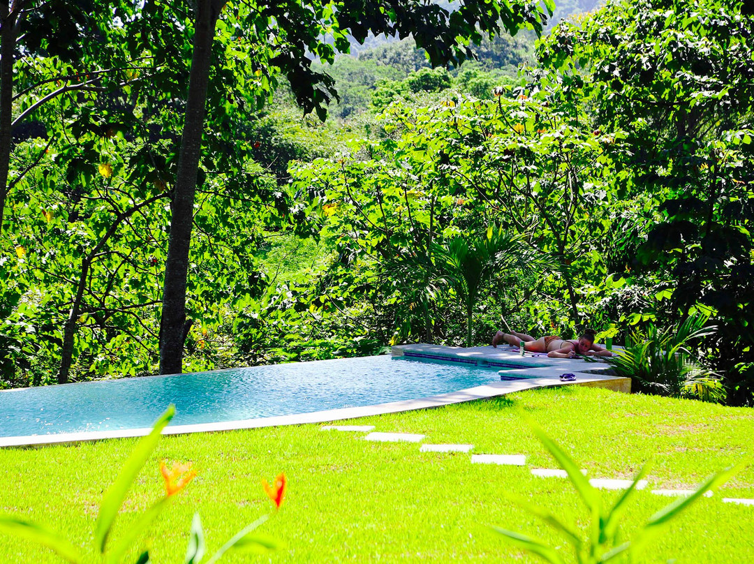 Wild Sun Jungle Resort