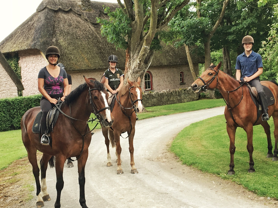 Clonshire Equestrian Centre景点图片