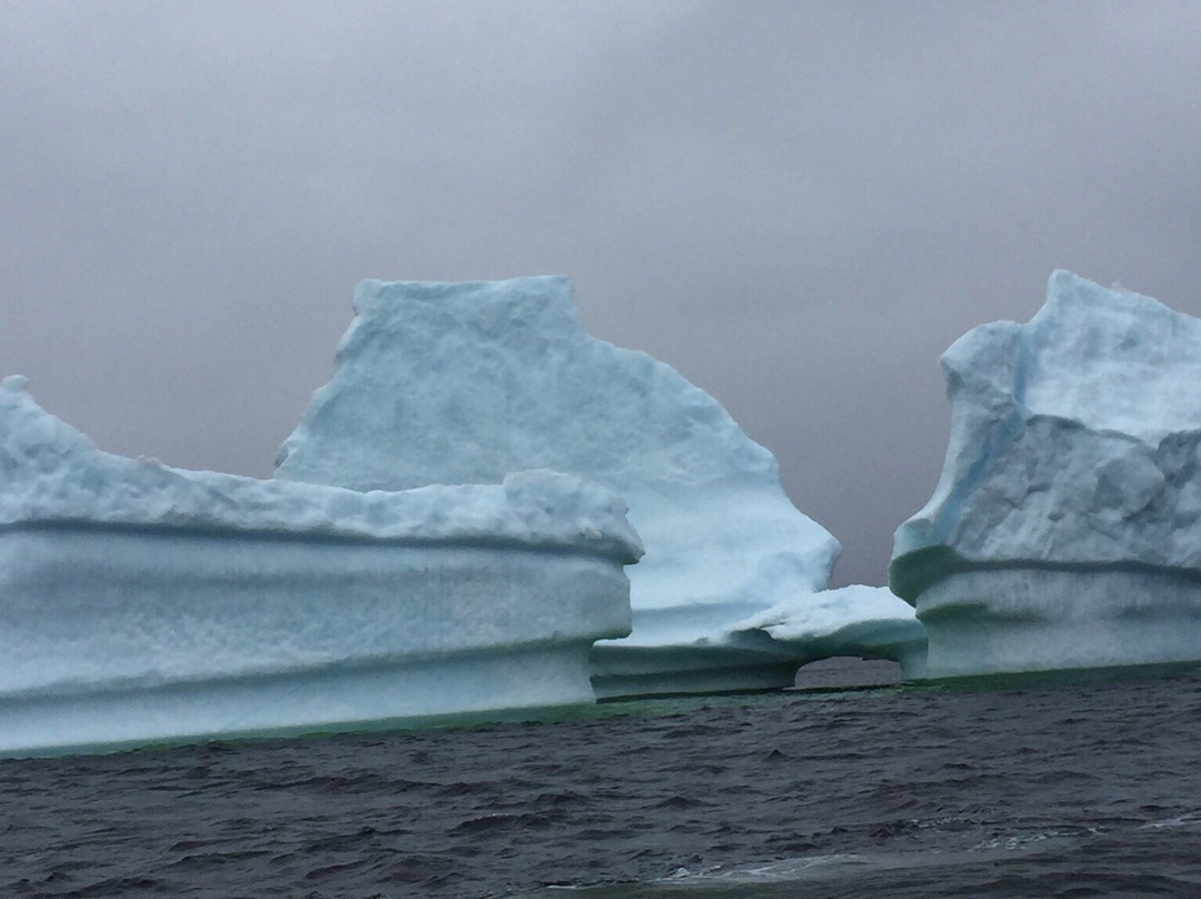 Skipper Jim's Boat Tour-Twillingate必去景点