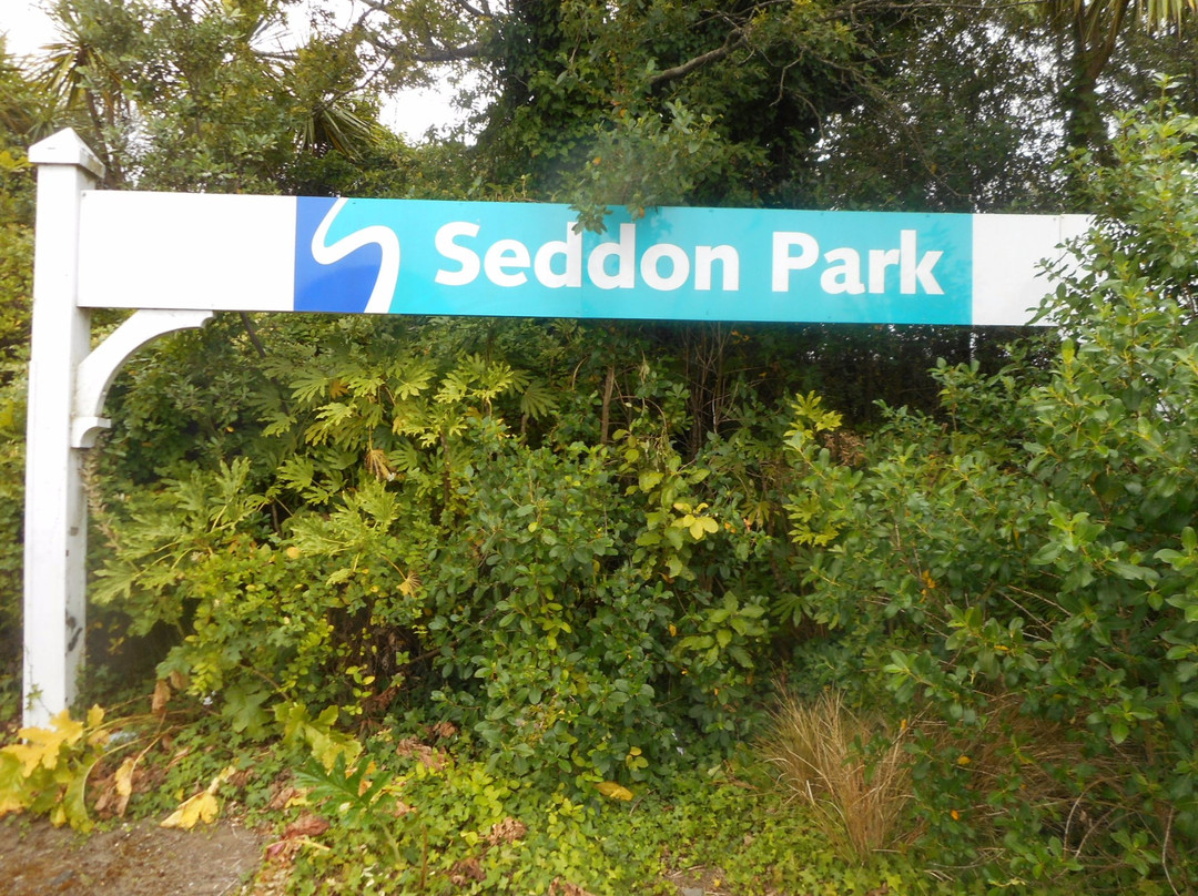 Seddon Park-汉密尔顿必去景点