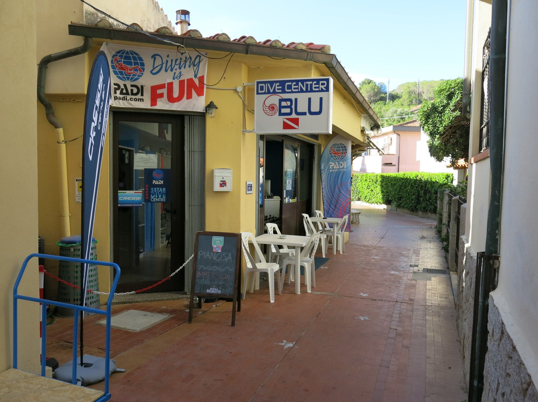 Dive Center Blu景点图片