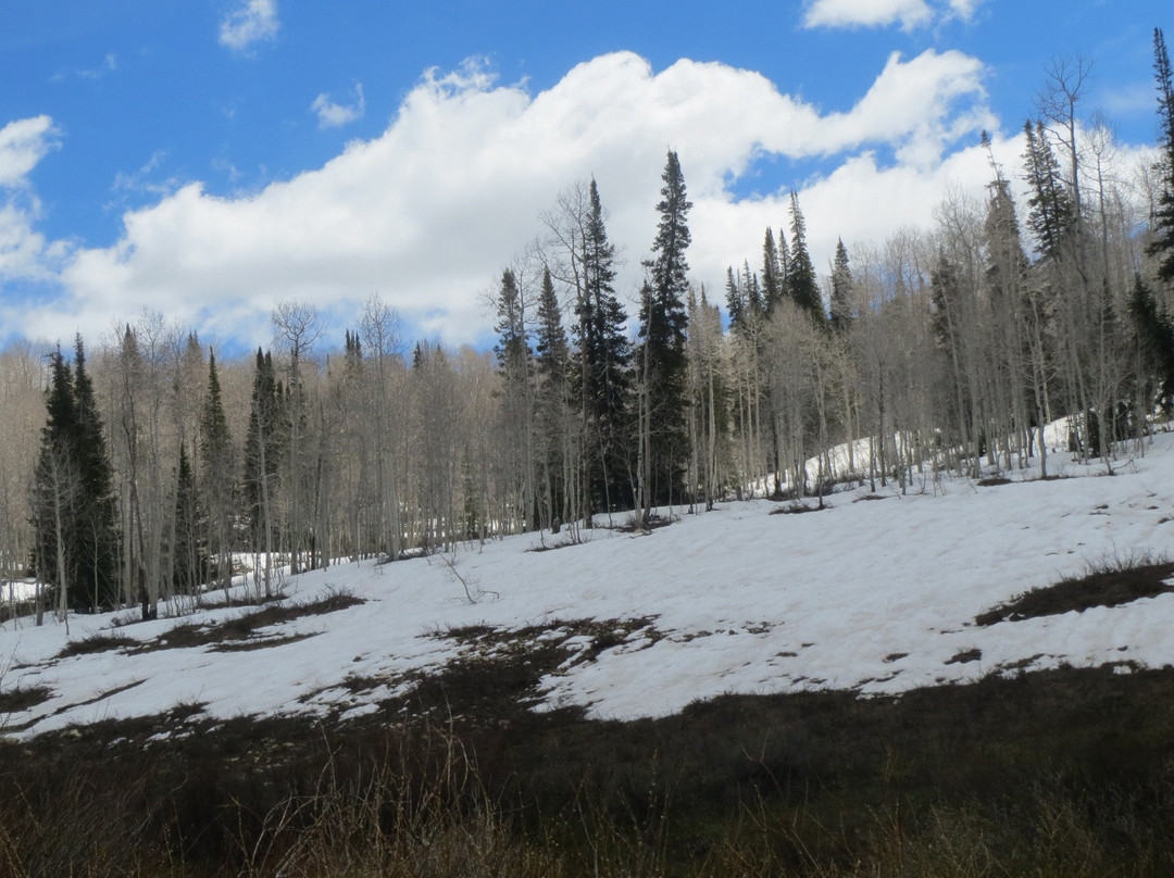 Manti-Lasal National Forest-Huntington必去景点