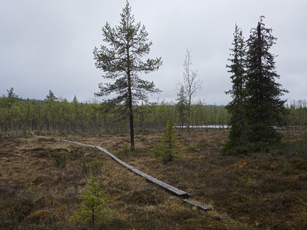 Ruijanpolku Trail-撒利塞卡必去景点