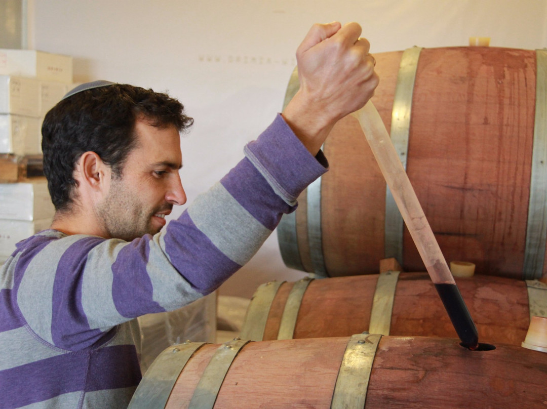 Drimia Winery-Judaean Hills必去景点