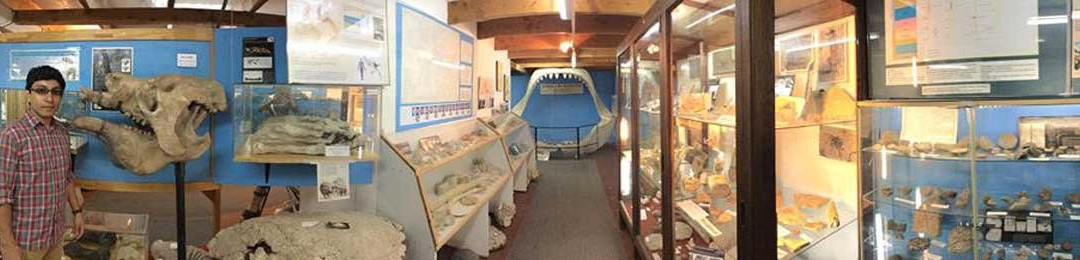 Museo Paleontologico Bariloche-圣卡洛斯-德巴里洛切必去景点